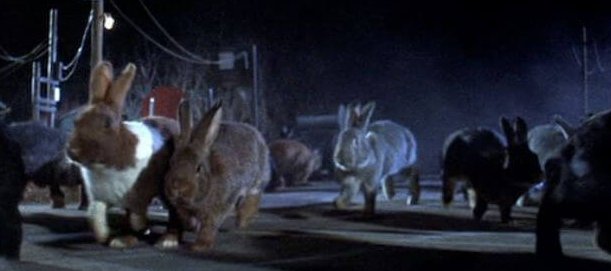 What's Out on Blu-ray in June: Night of the Lepus, Ninja III: The ...